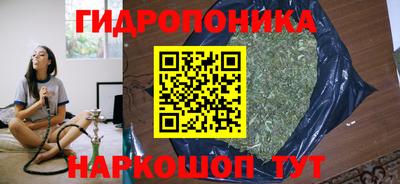 прущие грибы Мариинск