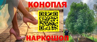 прущие грибы Мариинск