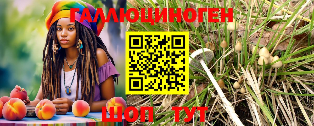 где найти наркотики  Вход с VPN  Чусовой  Псилоцибиновые грибы Magic Shrooms 