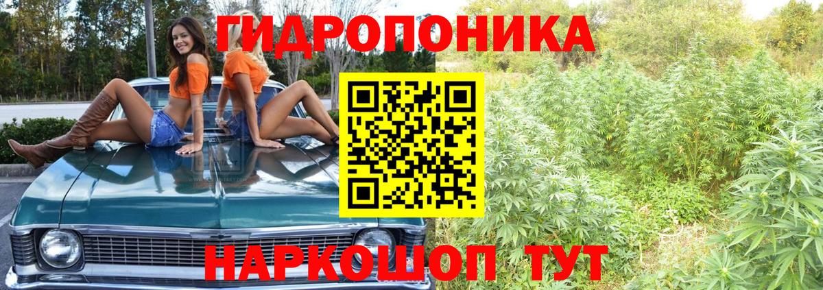 Каннабис White Widow  Каннабис THC 21%  Вход с VPN  Шишки марихуана марихуана  Бошки Шишки THC 21%  Чусовой 